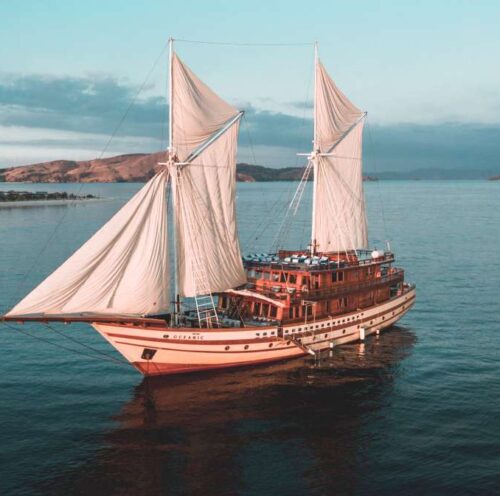 THE MAJ OCEANIC