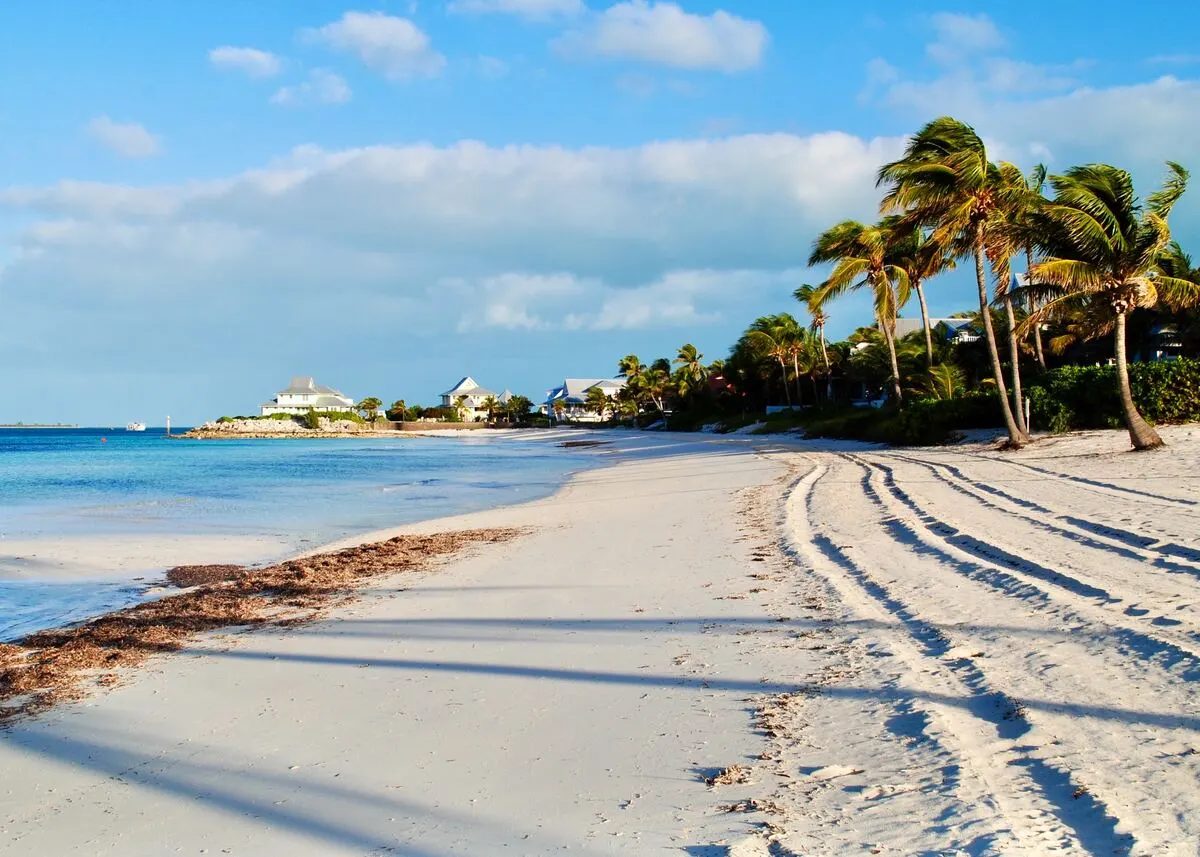 sand and palm trees on Berry Islands beach - Luxury Yacht Charter Destination